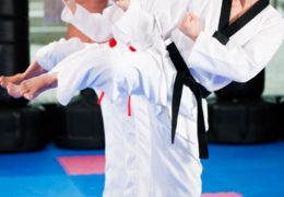 Taekwondo