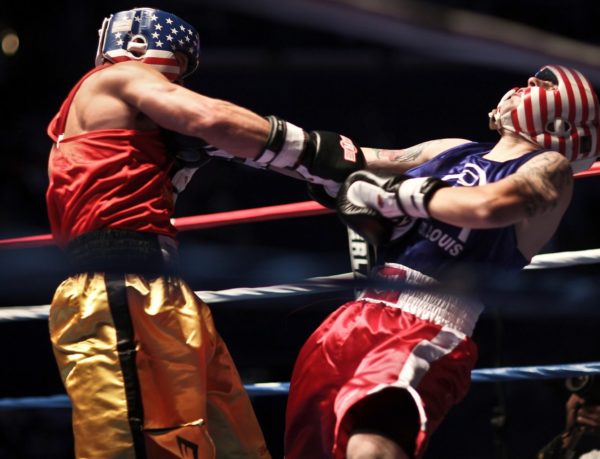 Boxers Boxe Pugilato