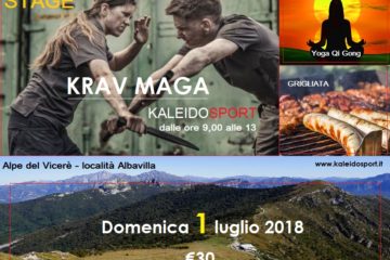 Corso 4 ore Krav Maga